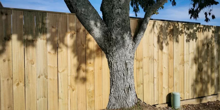 wooden fence built around tree