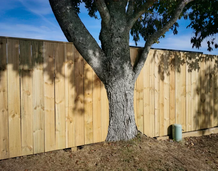 wooden fence built around tree